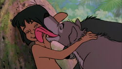 Jungle-book-disneyscreencaps