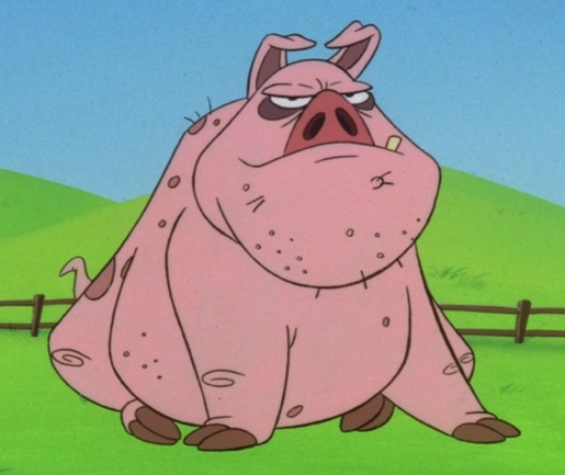 Mr. Pig