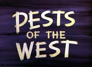 Title card