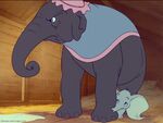 Mrs. Jumbo upset after the other elephants name her son, Dumbo as a New York city district joke.