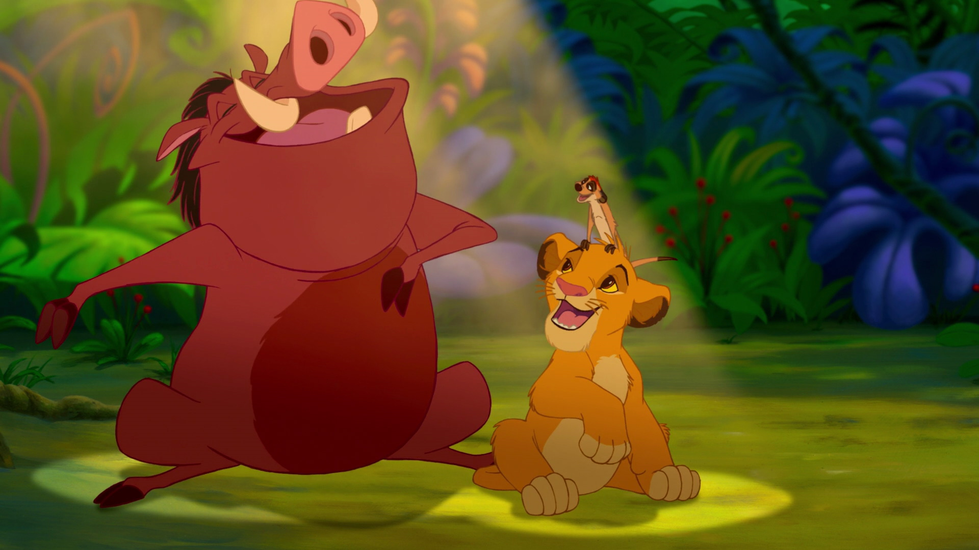 Hakuna Matata, Disney Wiki