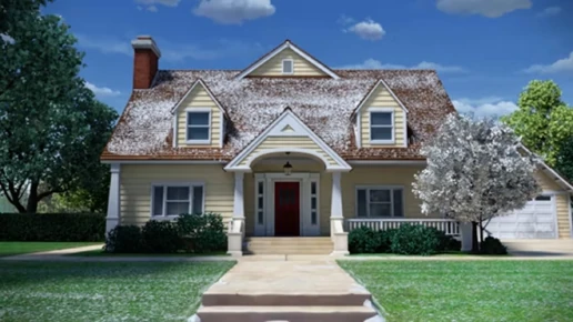 Roses are Red, JoJo is Blue