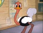 Hortense Ostrich (hiccups) (Donald's Ostrich)