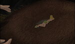 Tinker Bell's death