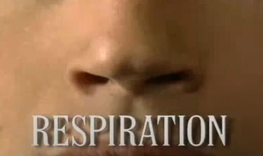 Respiration bill nye