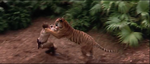 The Jungle Book 1994 Widescreen Wilkins Pounced by Shere Khan