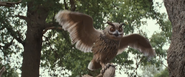 Owl (Christopher Robin)