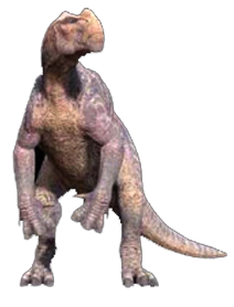Kron890.png