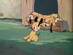 1937-quintuples-3.jpg (70 KB)
