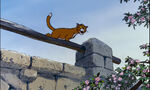 Aristocats-disneyscreencaps com-3020