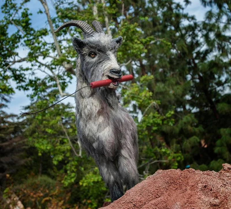 Billy the Disney Goat