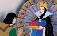 Disney Princess Snow White's Story Illustraition 3