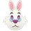 White Rabbit