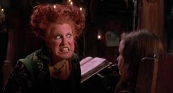 Sanderson Sisters, Disney Wiki