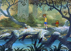 Christopher Robin and Pooh are walking in The Many Adventures closing segment.
