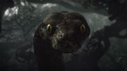 Kaa (The Jungle Book; Hindi dub)