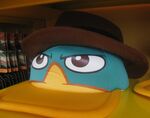 Agent P hat