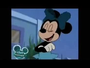 Minnies arm folded.jpg (10 KB)