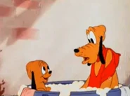 Pluto Junior 5.jpg (24 KB)