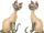 Si en Am