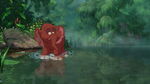 Tantor spotting a young Tarzan swimming in the water.