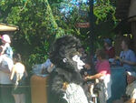Terk in Animal Kingdom Parade