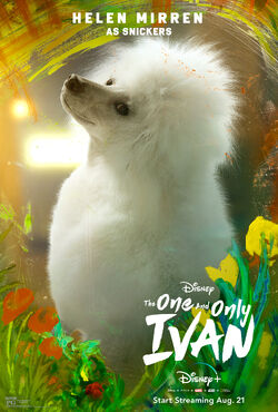 The One and Only Ivan (film) - Wikipedia