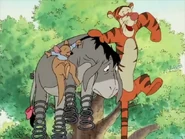 "Playing in the Wood"