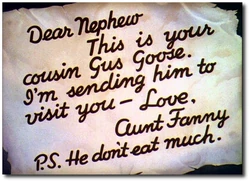 Aunt Fanny's letter.