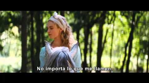 La Cenicienta - Una clásica historia de amor