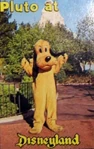 Pluto, as he appeared in the parks in the 1960's and 70's