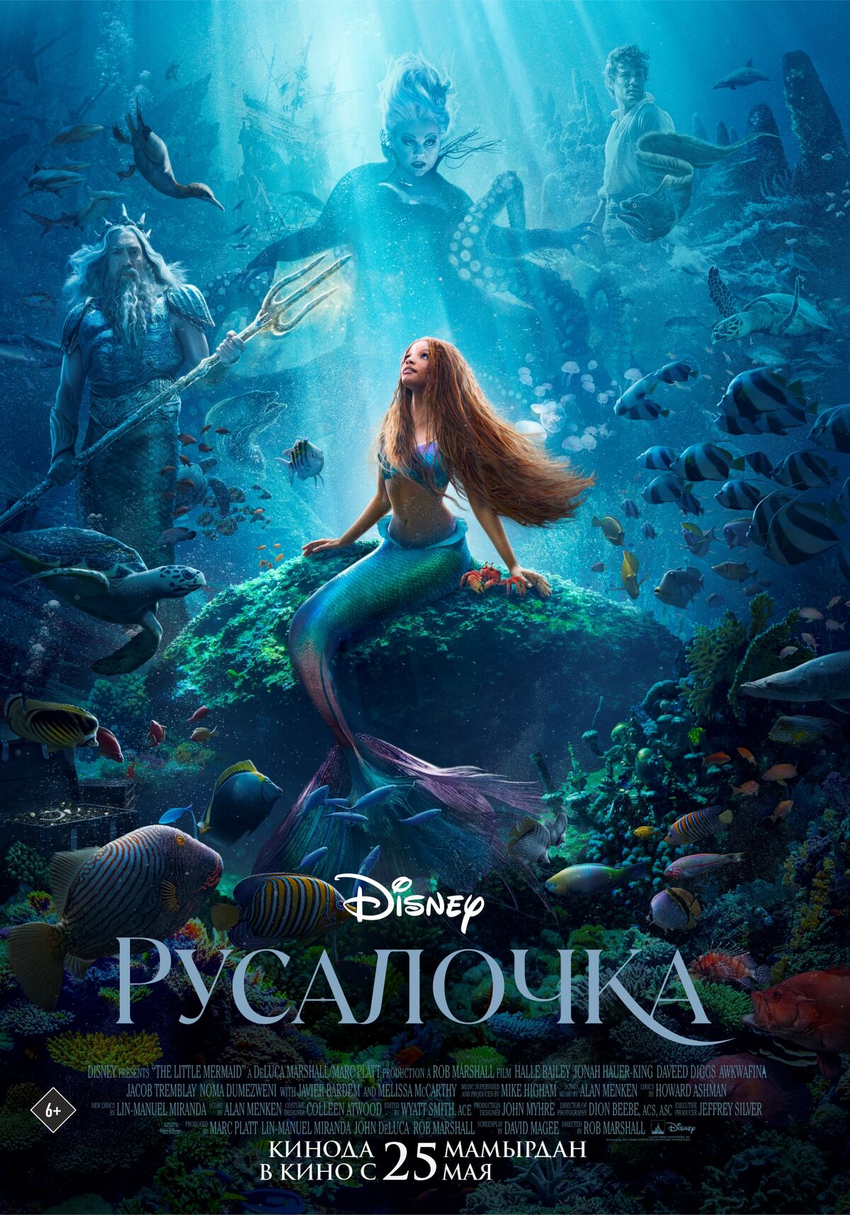 Русалочка (фильм) | Disney Wiki | Fandom