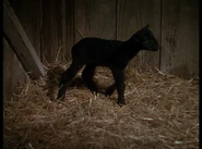 Danny First Appearance.png (1.29 MB)