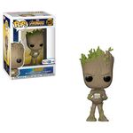 Groot IW POP 2