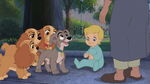 Lady-tramp-2-disneyscreencaps.com-7334