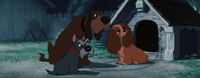 Lady-tramp-disneyscreencaps.com-7250