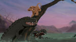 Lion-king2-disneyscreencaps com-1277