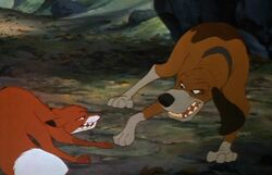 Fight Scene - (The Fox and The Hound)