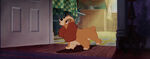 Lady-tramp-disneyscreencaps.com-3111