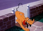 Tumblr npwndmp3Xh1qhcrb0o1 1280.jpg (107 KB)