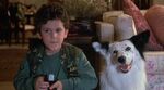 Fred Savage with Max in The Boy Who Could Fly
