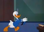 Daddy Duck | Disney Wiki | Fandom