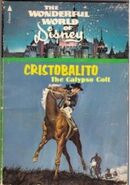 Cristobalito