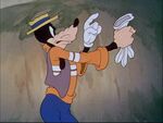 Goofy taking his glove off.