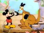 Mickey meeting his kangaroo