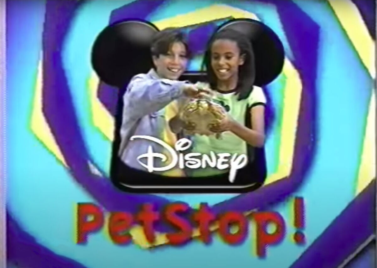 Pet Stop Disney Wiki Fandom