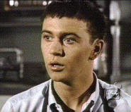 Tommy Kirk.gif (34 KB)