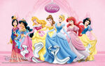 2010 Disney Princess