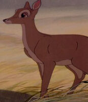 Bambi's mother looking at her husband