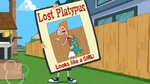 "Lost Platypus, looks like a girl!"